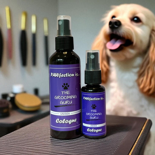 PAWfection Is ... Cologne